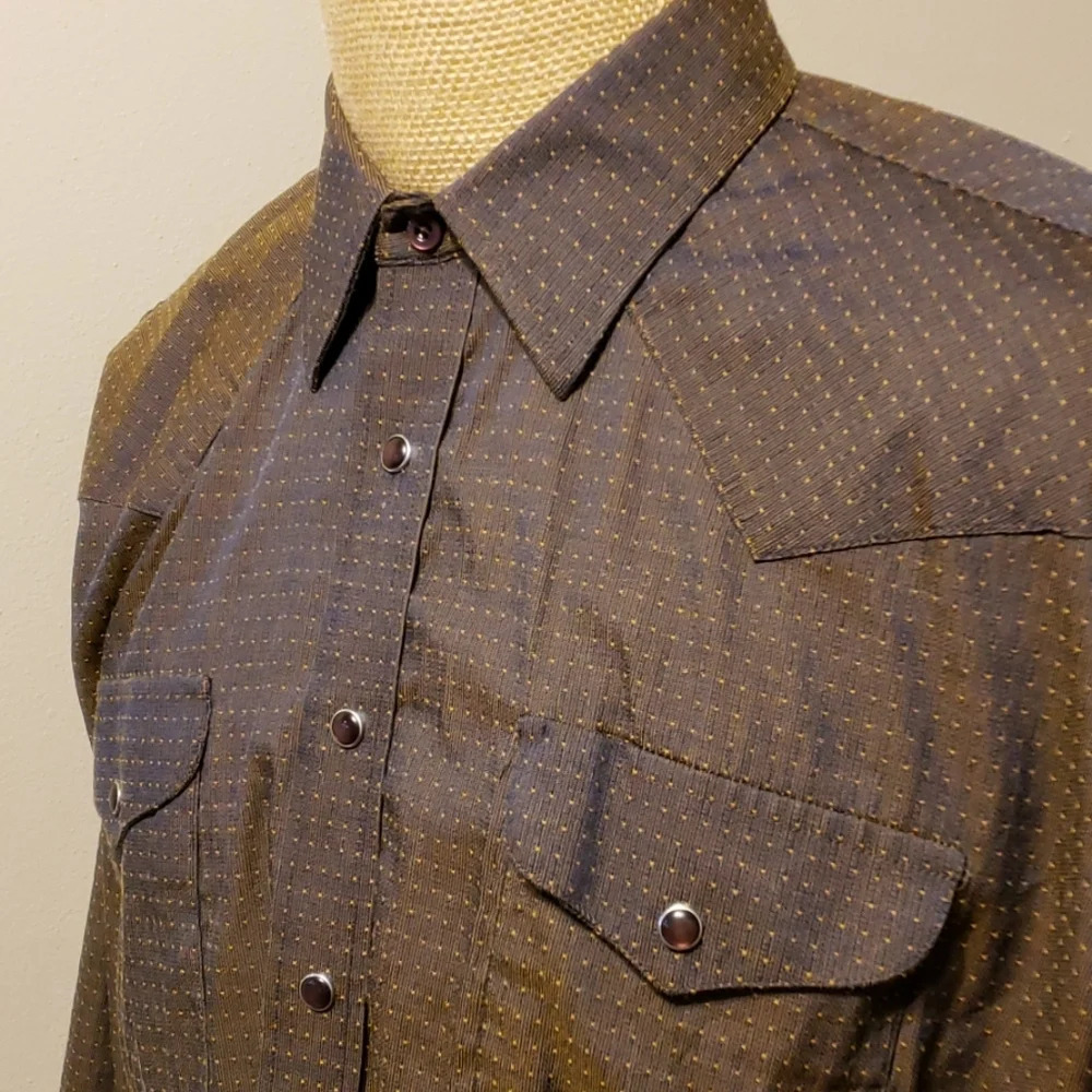 Panhandle slim western snap long sleeve iridescent